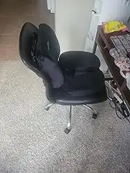 Fortem™ Ergonomische Rug- & Zitkussen Set photo review