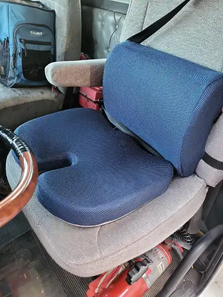 review-Lumbar